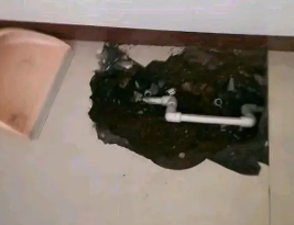 景德镇卫生间测漏水多少钱